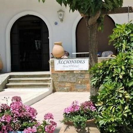 Alkyonides Beach Hotel ماليا المظهر الخارجي الصورة